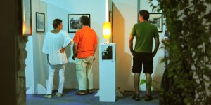 CONTRADDIZIONE in EXPOsizione